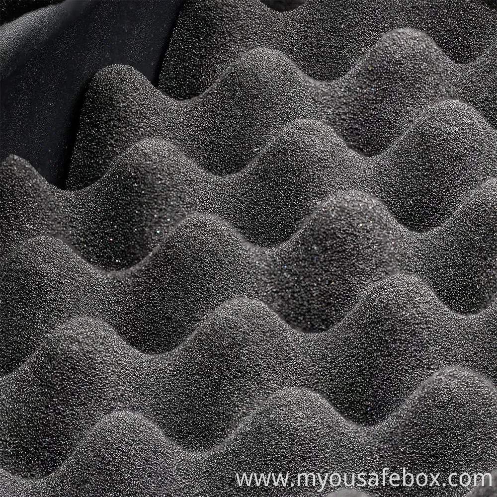 Biometric Gun Safe,Gun Safe for Pistols,Quick-Access Handgun Safe,Two Firearm Capacity with Fingerprint Lock and Key Pad,Gun Lock Box for Home,Nightstand and Ca